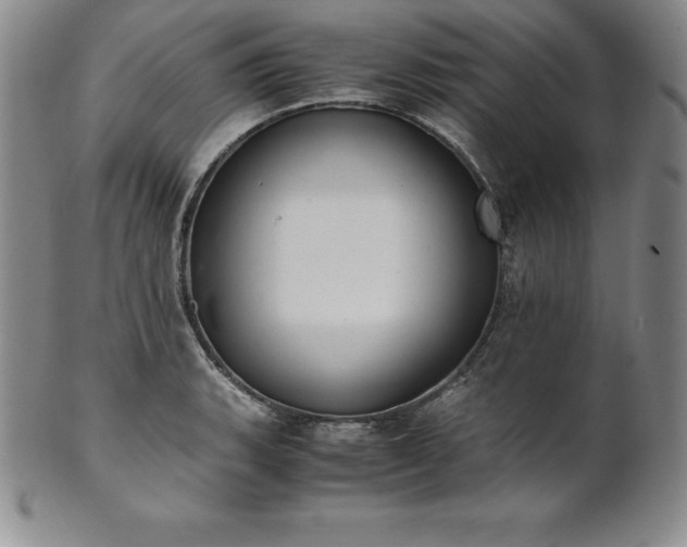 X0000101681135200807171405