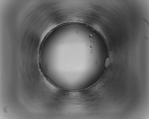 X0000101681136200807171405