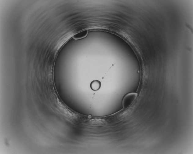 X0000101681137200807171405