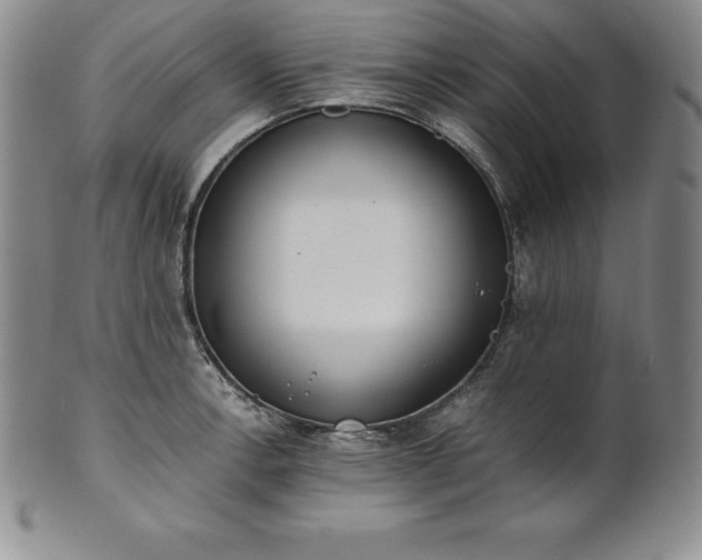 X0000101681138200807171405