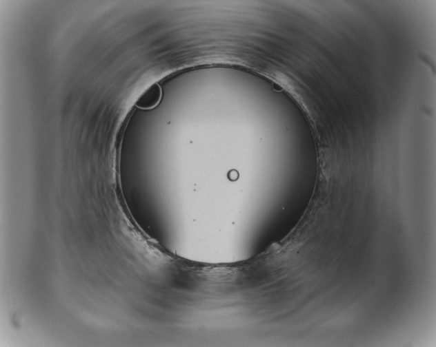 X0000101681140200807171405