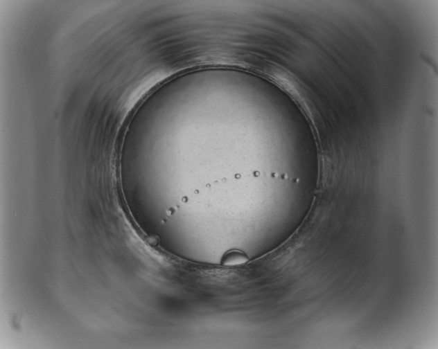 X0000101681141200807171405