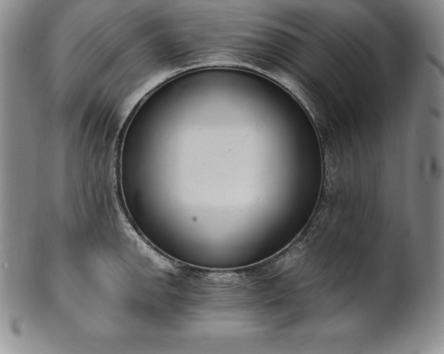 X0000101681142200807171405