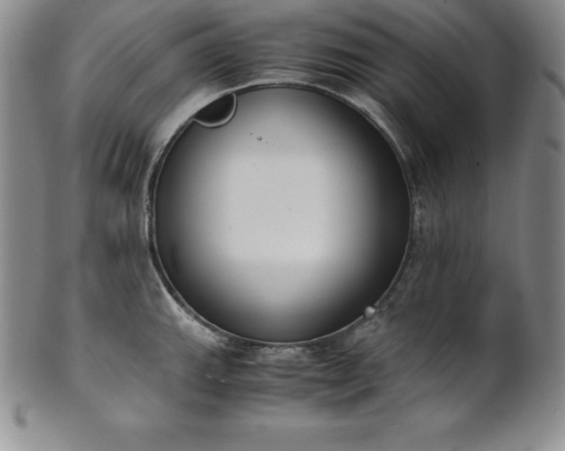 X0000101681143200807171405