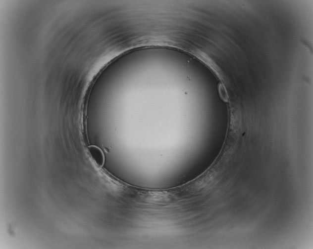 X0000101681144200807171405