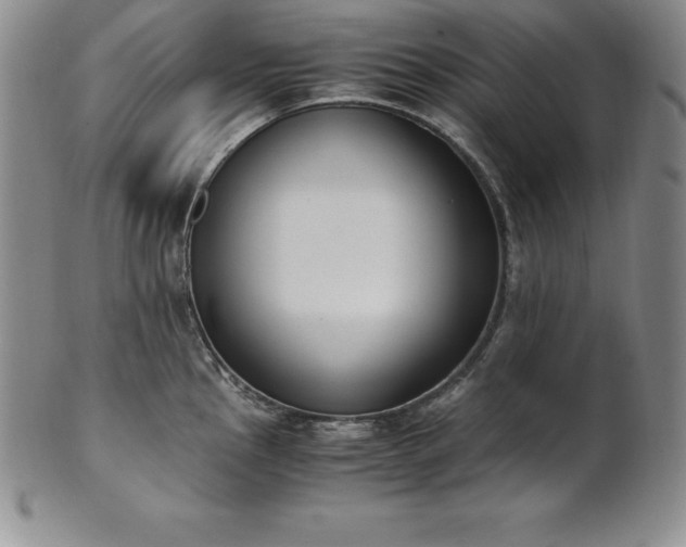 X0000101681145200807171405