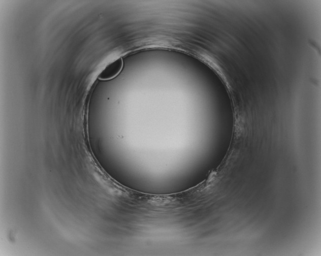 X0000101681146200807171405