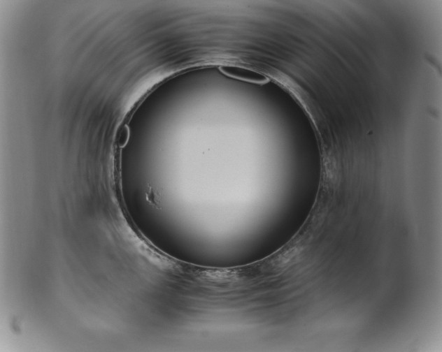 X0000101681147200807171405