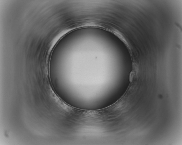 X0000101681148200807171405