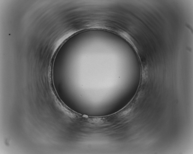 X0000101681149200807171406