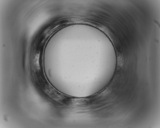 X0000101681150200807171406