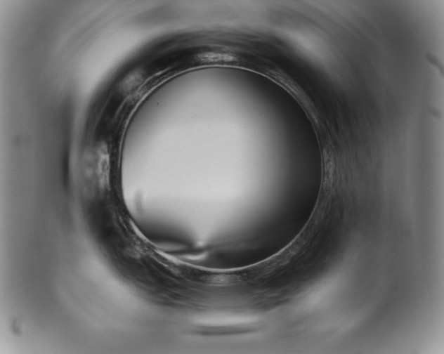 X0000101681151200807171406