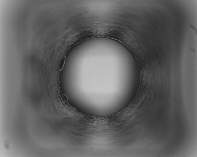 X0000101681153200807171405