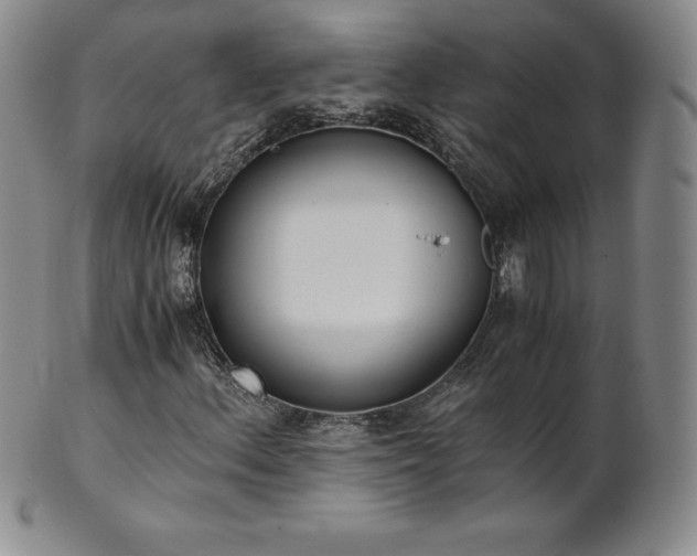 X0000101681156200807171405