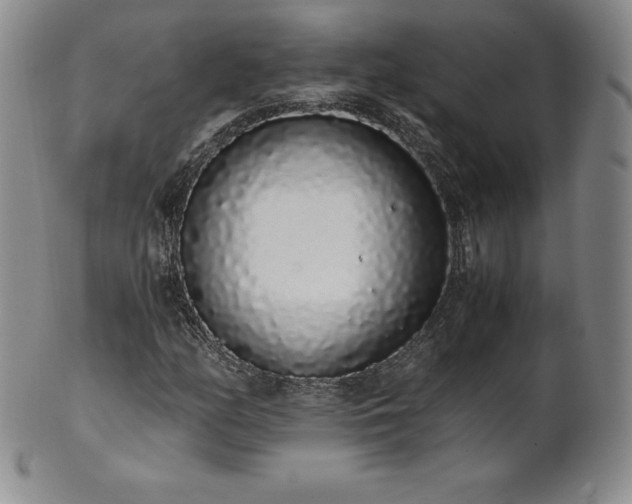 X0000101681158200807171405