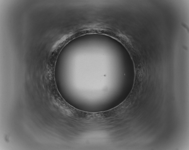 X0000101681159200807171405