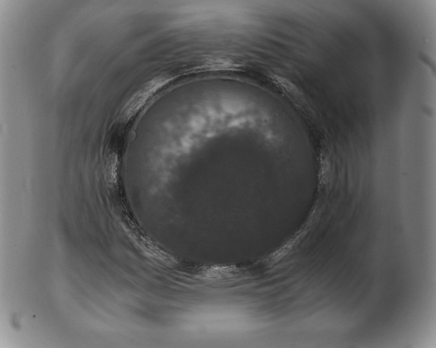 X0000101681161200807171405