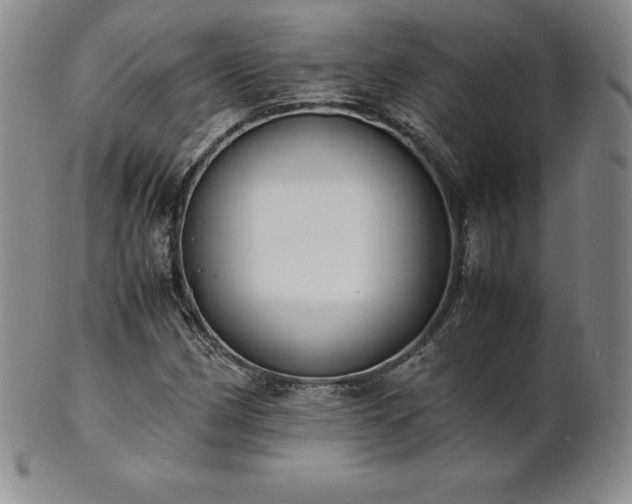 X0000101681162200807171405