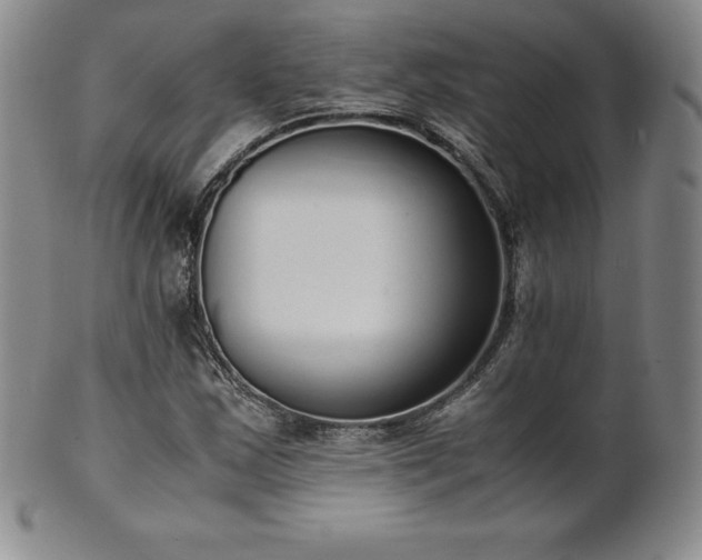 X0000101681163200807171405