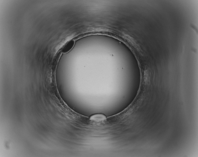 X0000101681165200807171405