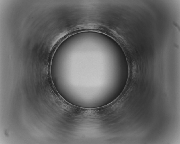 X0000101681166200807171405