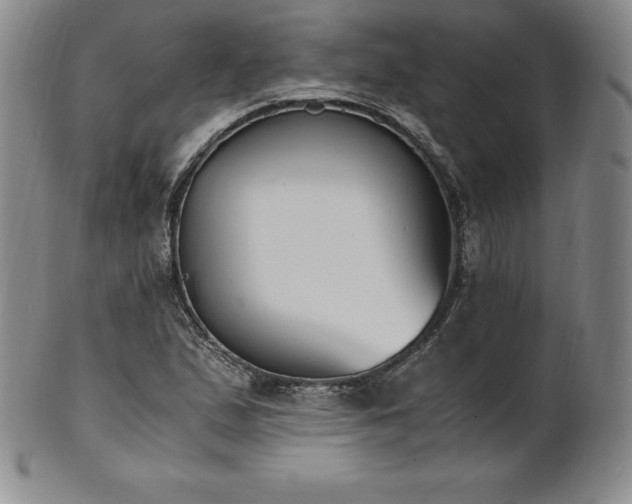 X0000101681167200807171405