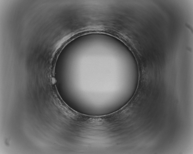 X0000101681168200807171405