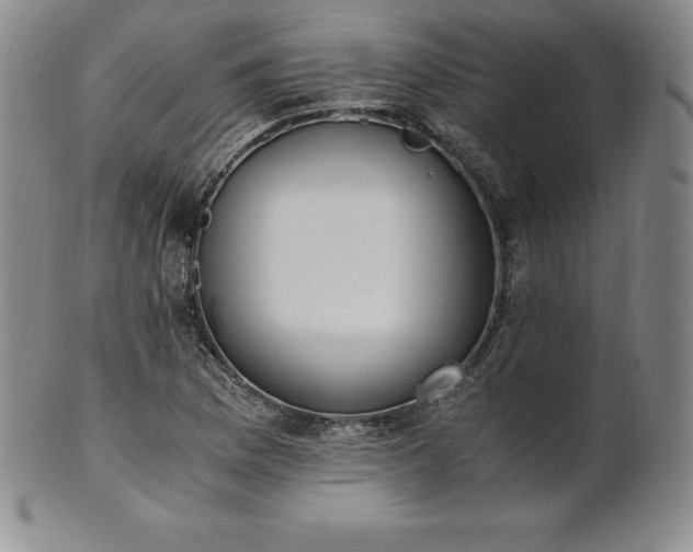 X0000101681169200807171405