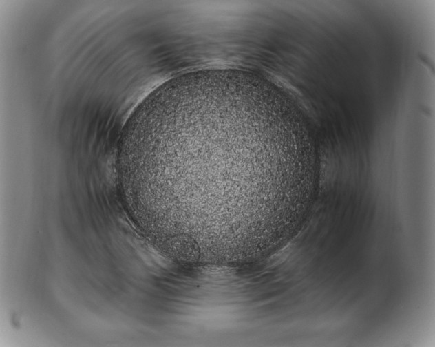 X0000101681170200807171405