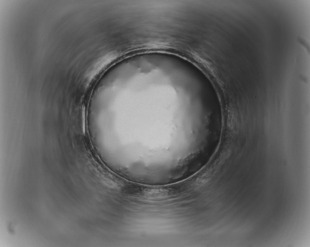 X0000101681171200807171405