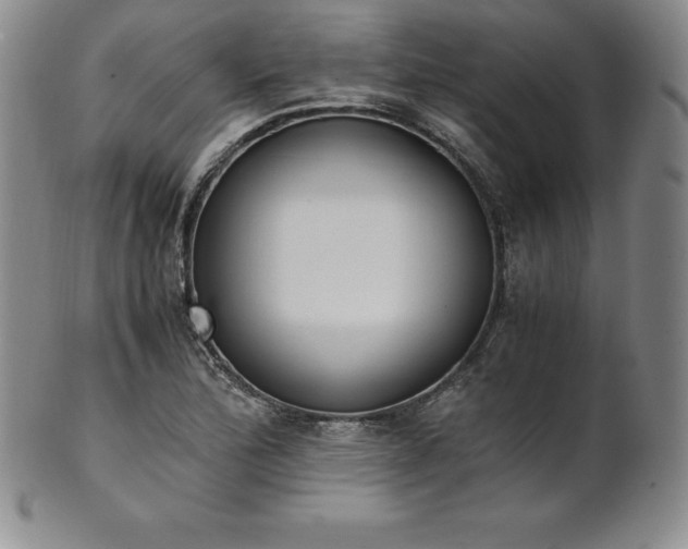 X0000101681172200807171405