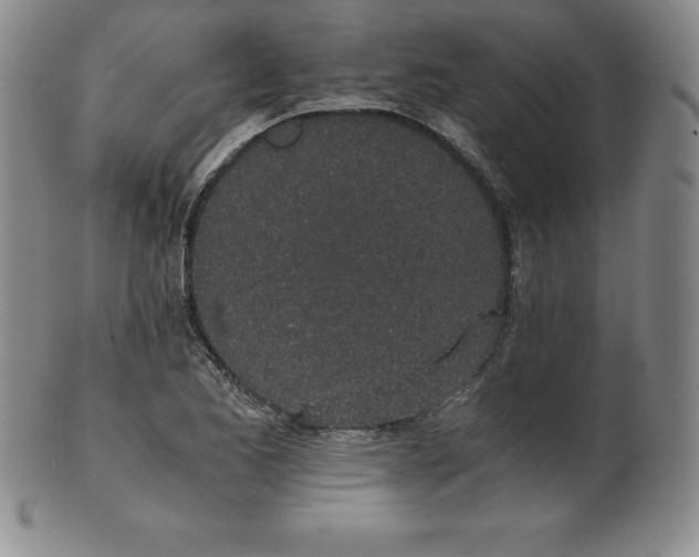 X0000101681173200807171405