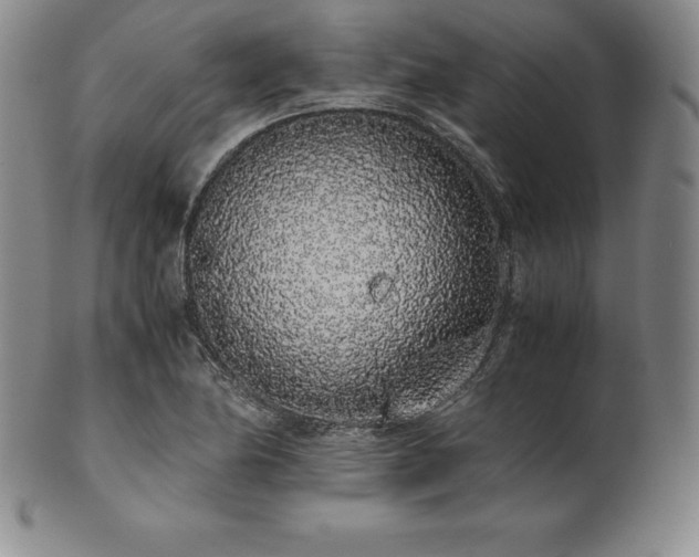 X0000101681174200807171404