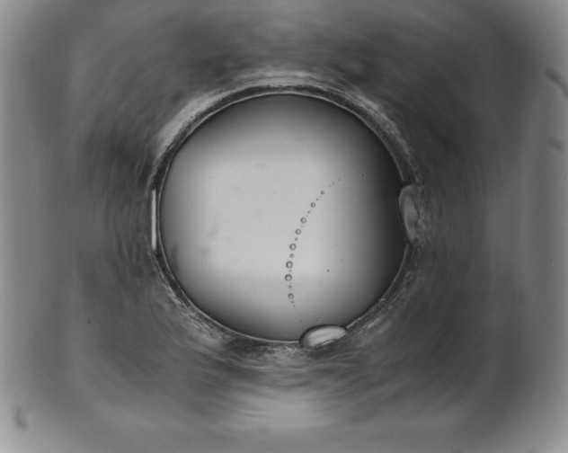 X0000101681175200807171404