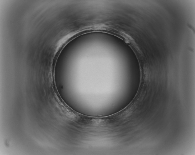 X0000101681176200807171404