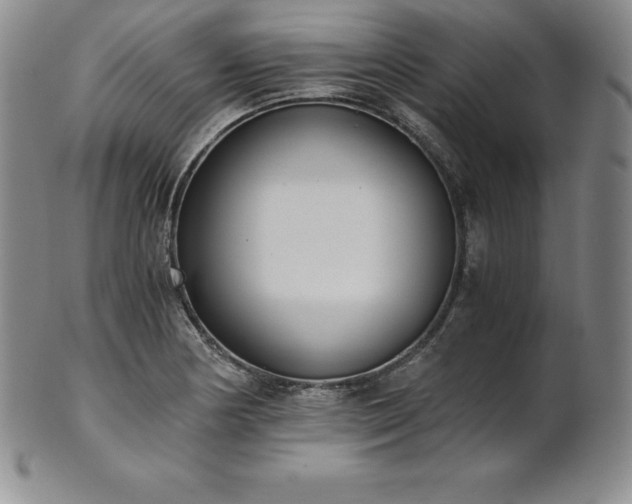 X0000101681178200807171404