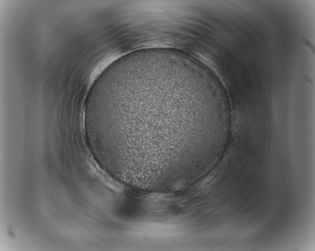 X0000101681179200807171404