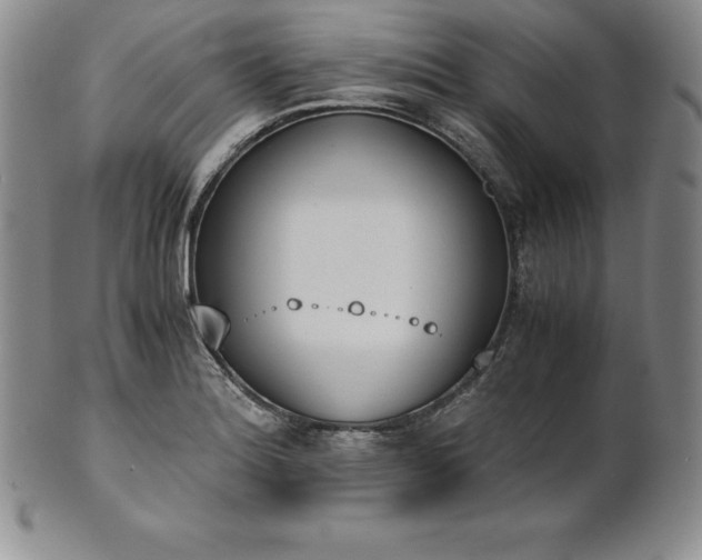 X0000101681180200807171404