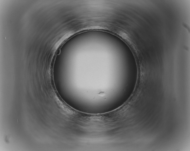 X0000101681181200807171404