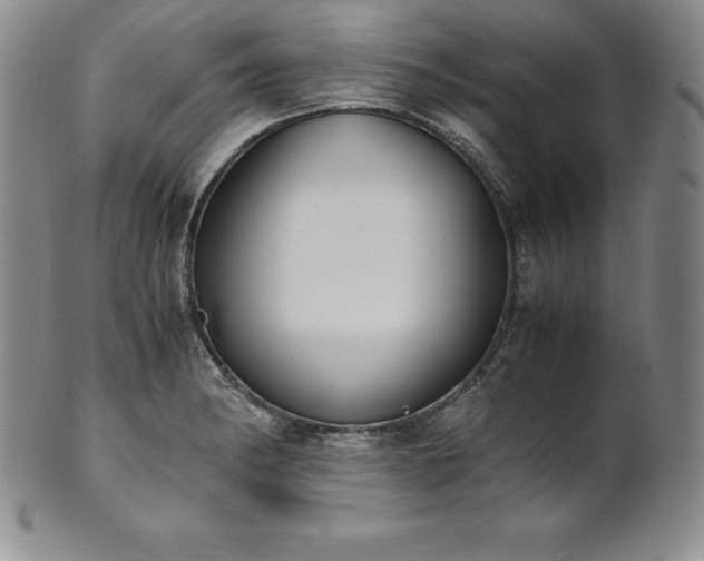 X0000101681182200807171404