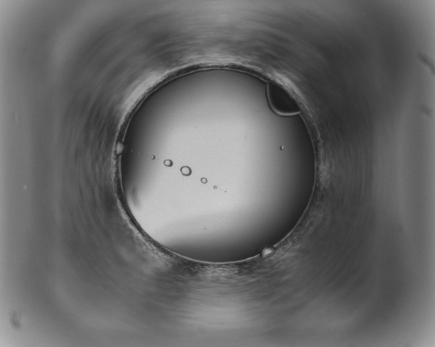 X0000101681183200807171404