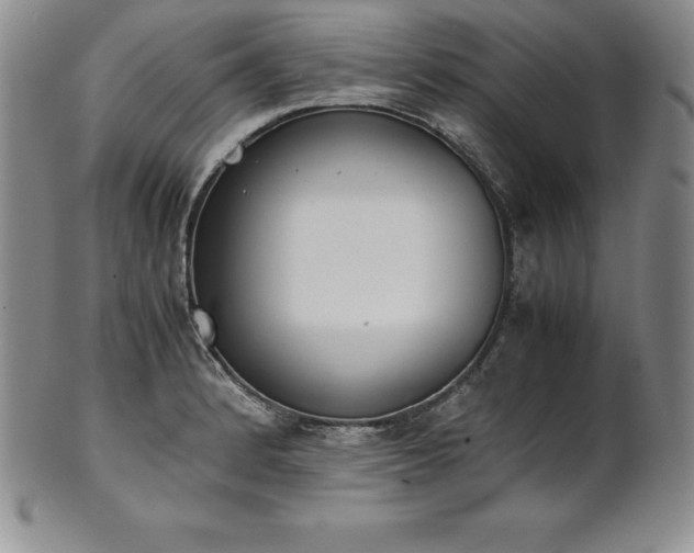 X0000101681184200807171404