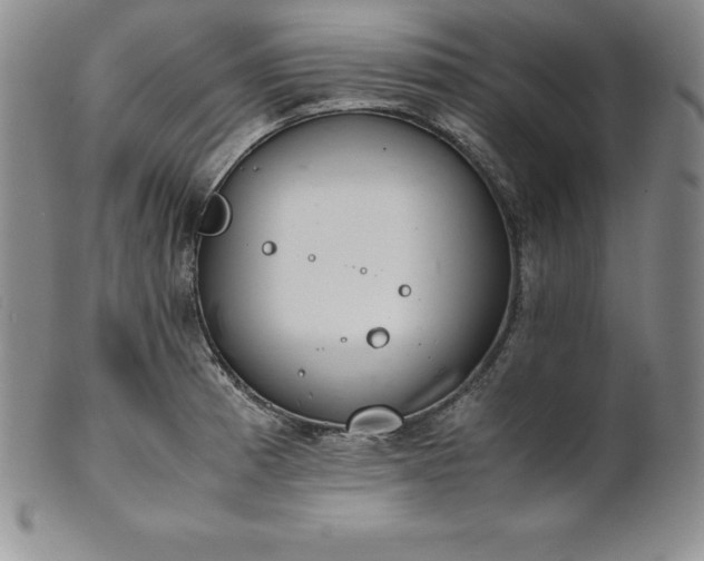 X0000101681185200807171404