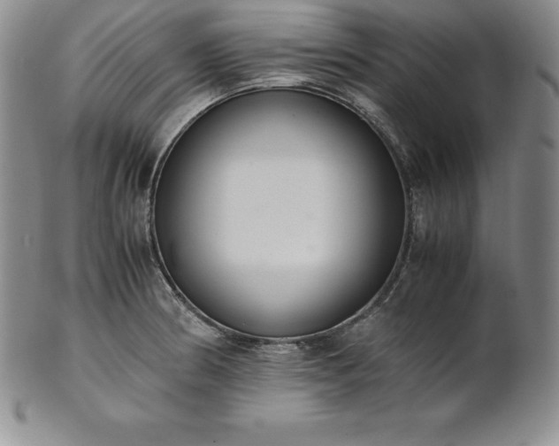 X0000101681186200807171404