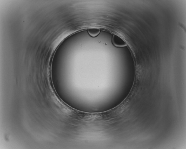 X0000101681187200807171404