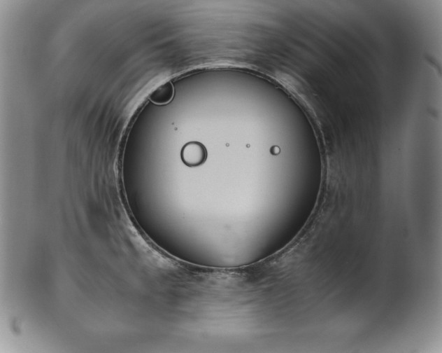 X0000101681189200807171404