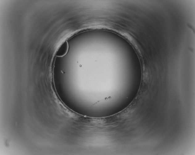 X0000101681191200807171404