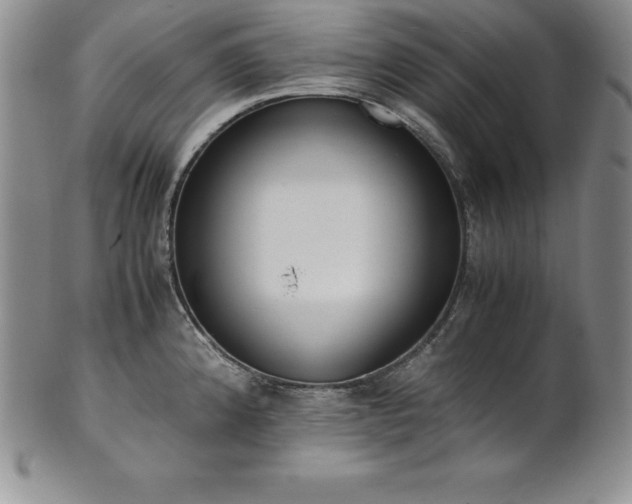 X0000101681192200807171404