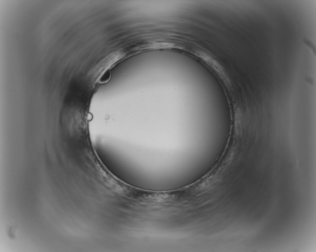 X0000101681193200807171404