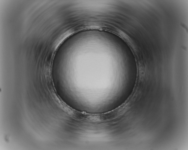 X0000101681194200807171404